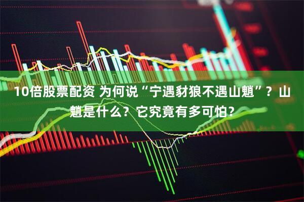 10倍股票配资 为何说“宁遇豺狼不遇山魈”？山魈是什么？它究竟有多可怕？