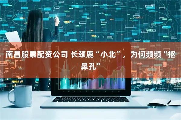 南昌股票配资公司 长颈鹿“小北”，为何频频“抠鼻孔”